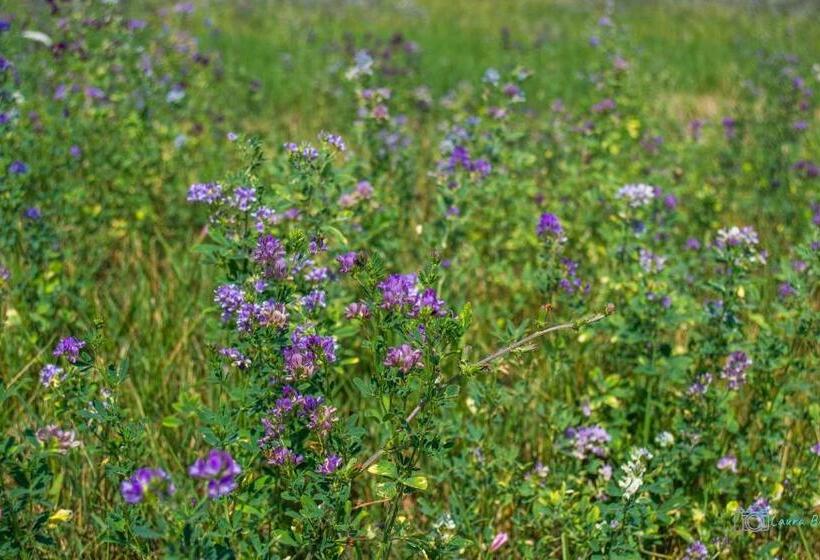 장애인을 위한 스탠다드 룸, Antiche Vie B&b