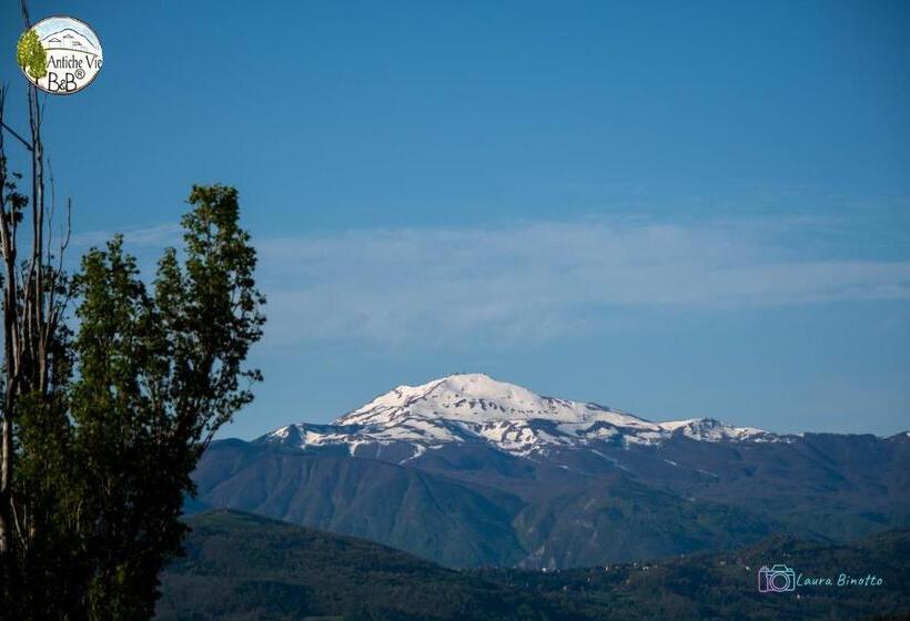 장애인을 위한 스탠다드 룸, Antiche Vie B&b