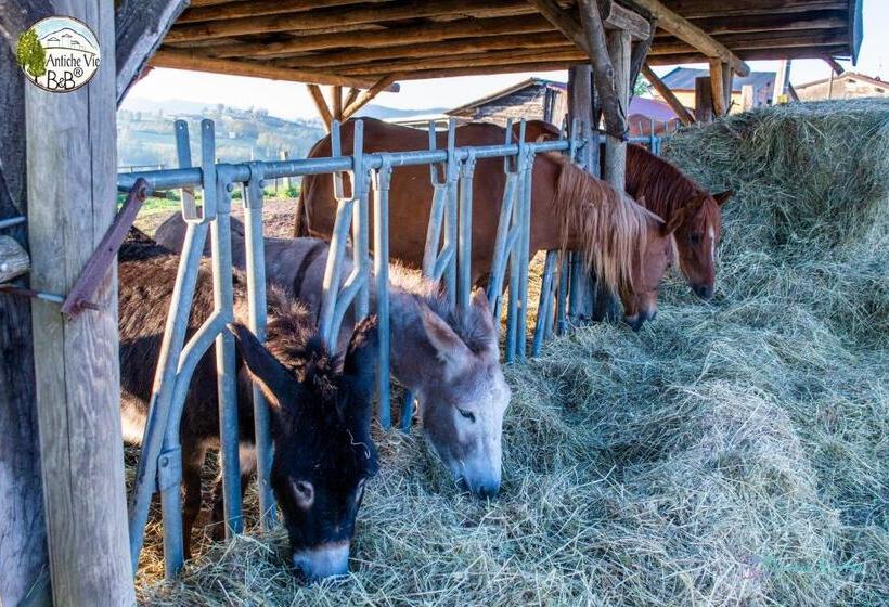 디럭스 룸, Antiche Vie B&b