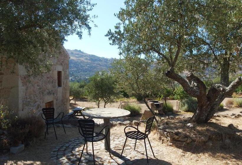 خانه 3 خوابه, Casa Da Carriça Serra Da Estrela