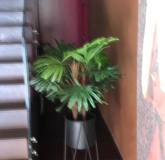 豪华房间, Al Sagraeto