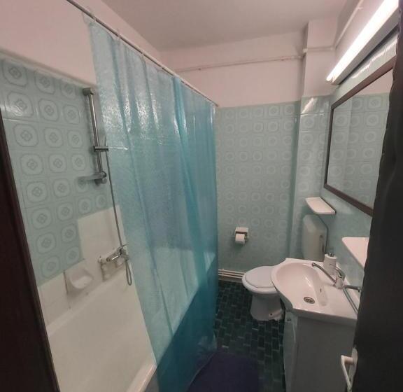 バルコニー付きスタンダードルーム, Vila Micul Castel