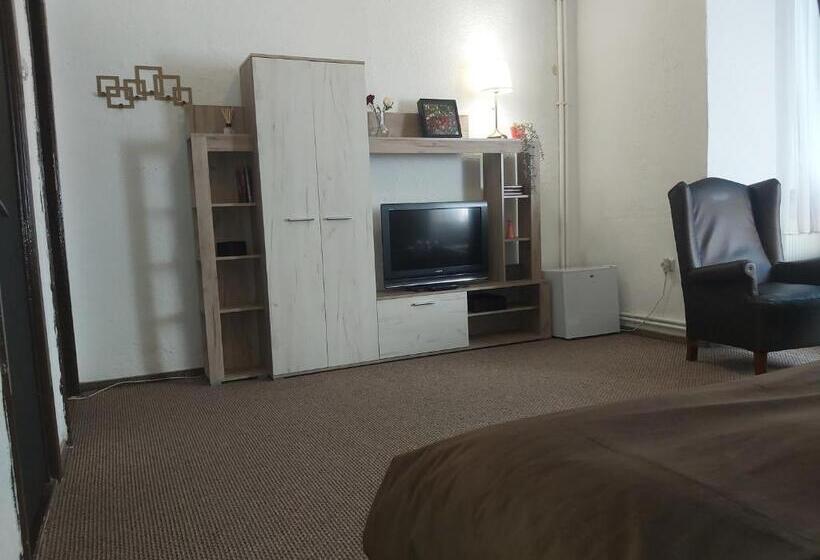 ガーデンビューファミリールーム, Vila Micul Castel