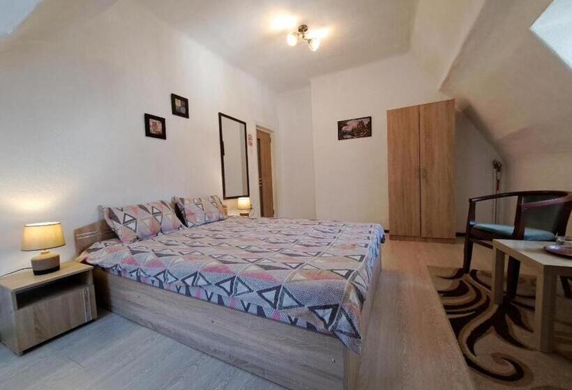 エコノミールーム, Vila Micul Castel