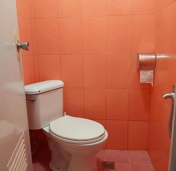 اتاق اکونومی, Ryj S Inn