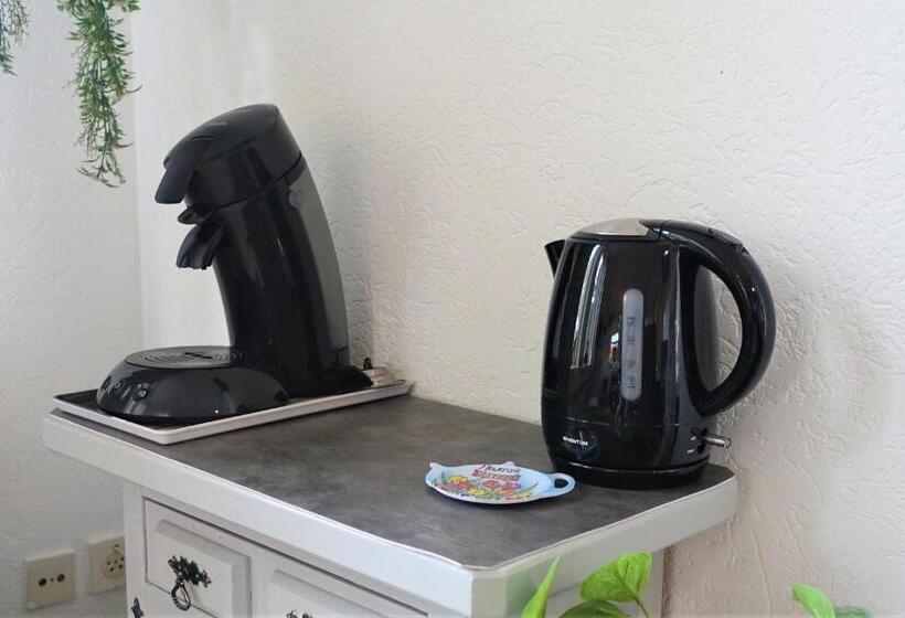 جناح مزود بتراس, De Aardigeyt