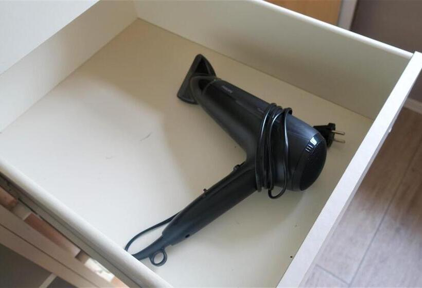 جناح مزود بتراس, De Aardigeyt