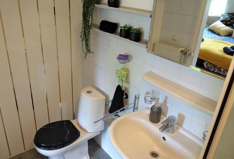 جناح مزود بتراس, De Aardigeyt