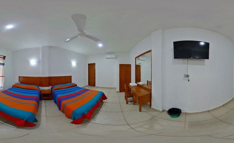 스탠다드 룸, Vidamar