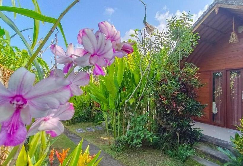 بنجلو قياسى, Morning Bali Bungalow