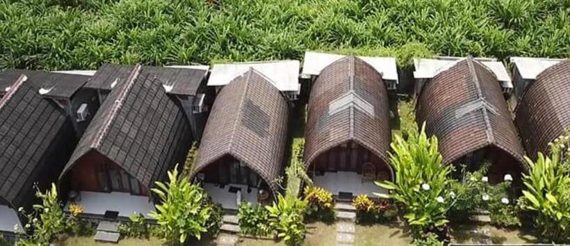 بنجلو قياسى, Morning Bali Bungalow