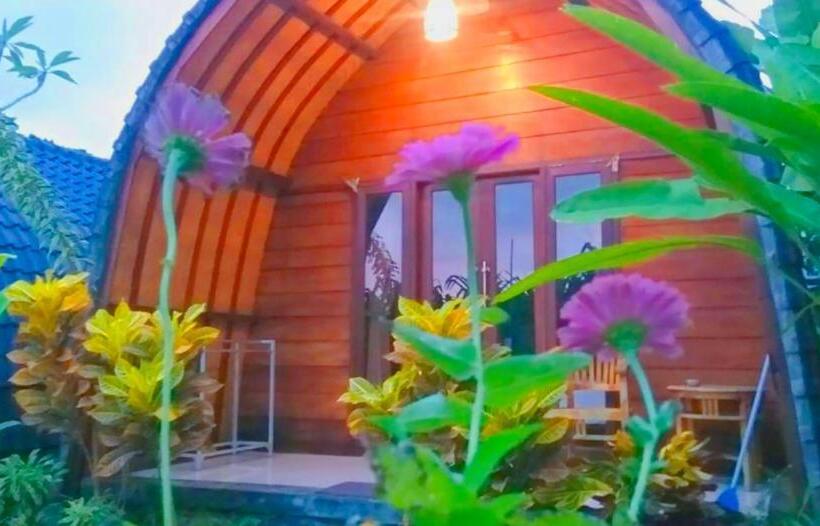 بانگلوی استاندارد, Morning Bali Bungalow
