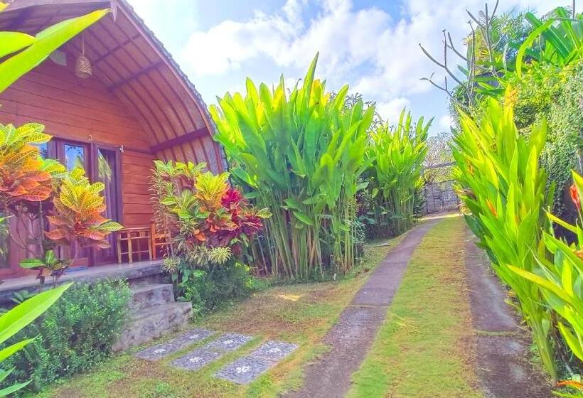 بنجلو قياسى, Morning Bali Bungalow