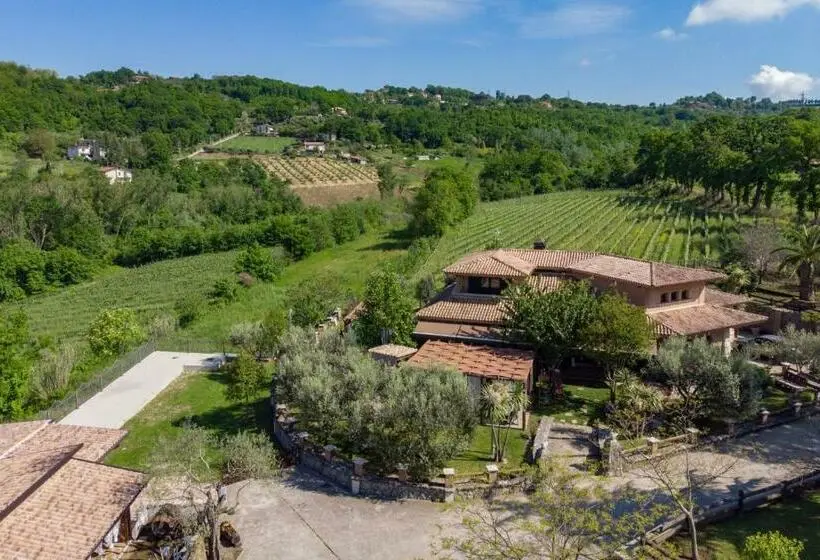 スタンダードスタジオ, Agriturismo A Casa Di Susanna