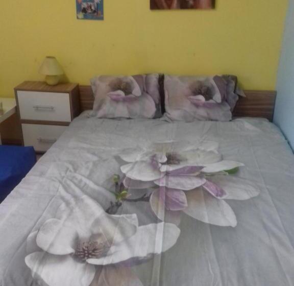 스탠다드 룸, Mvk