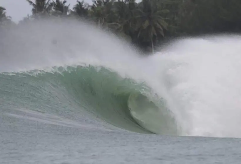 スタンダードルーム, Nias Kristov Surf Camp