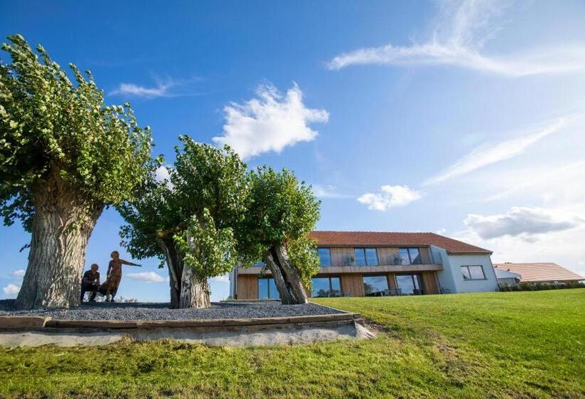 Номер Deluxe с Балконом, Oversteekhof