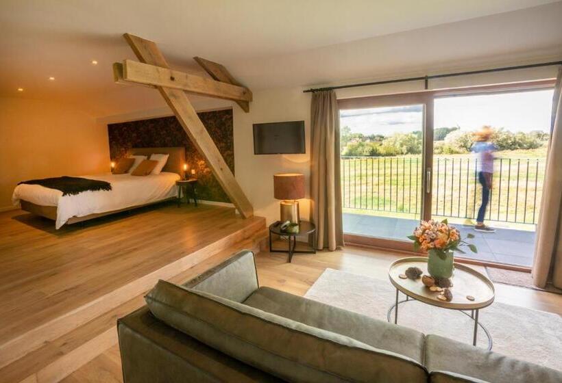 Номер Deluxe с Балконом, Oversteekhof