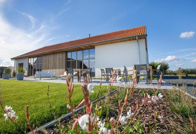 Стандартный Номер Кровать Кинг, Oversteekhof