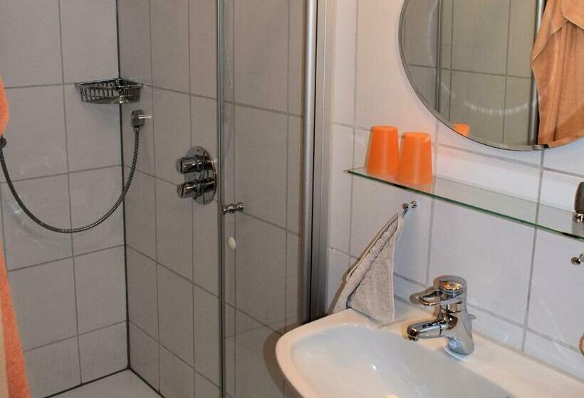 Номер Стандарт с Балконом, Gaestehaus Grau