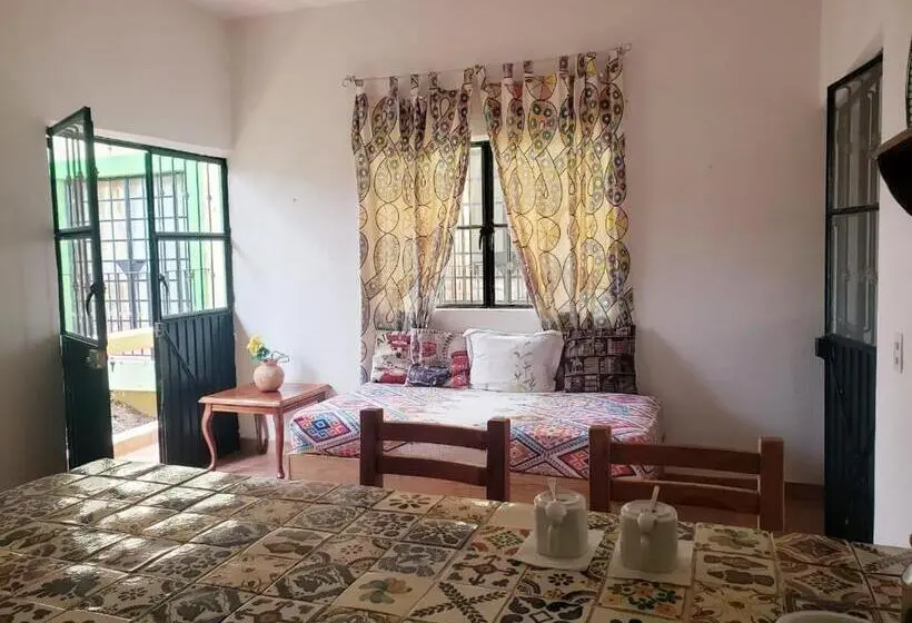 スタンダードスタジオ, Casa Jardín Del Tuito