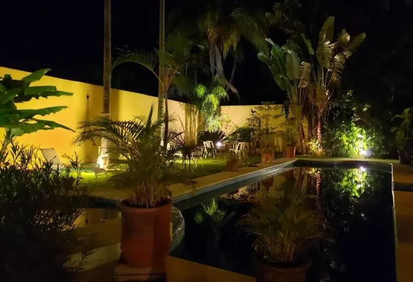 シャレー・スペリアー1寝室, Casa Jardín Del Tuito