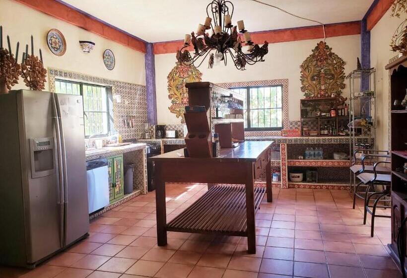 شاليه سوبيريور غرفة نوم واحدة, Casa Jardín Del Tuito