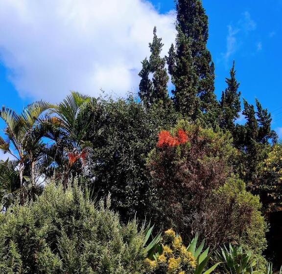 샬레, Casa Ranxoxita