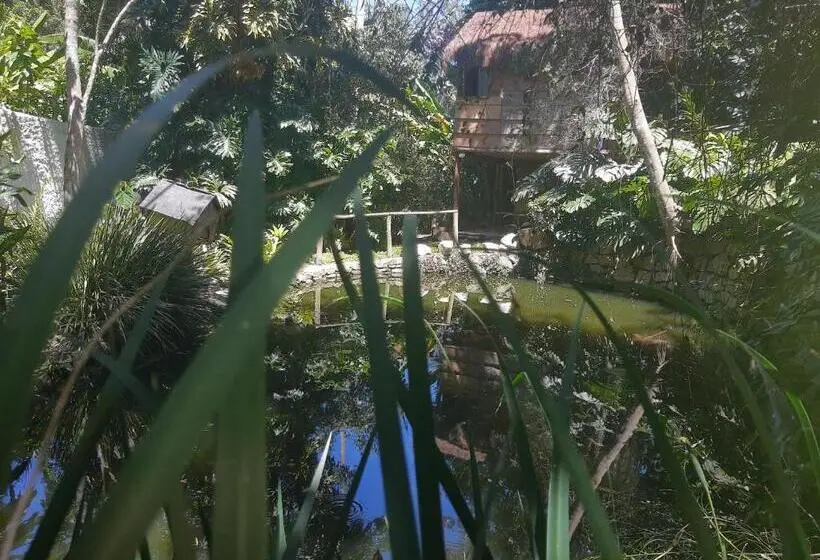 シャレー1寝室, Casa Ranxoxita