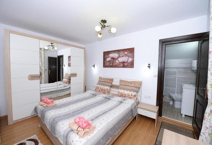 חדר סטנדרט, Casa Teo&andreea