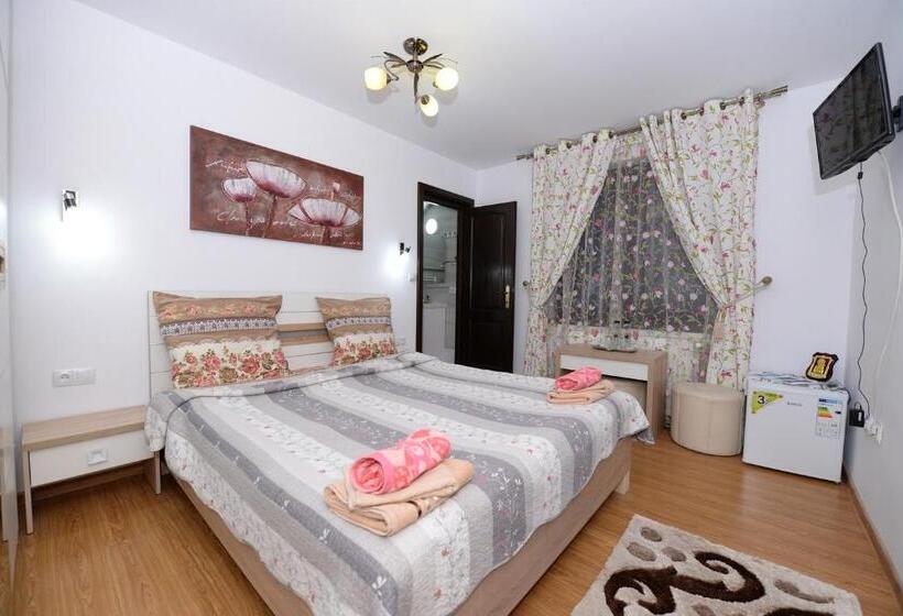 חדר סטנדרט, Casa Teo&andreea