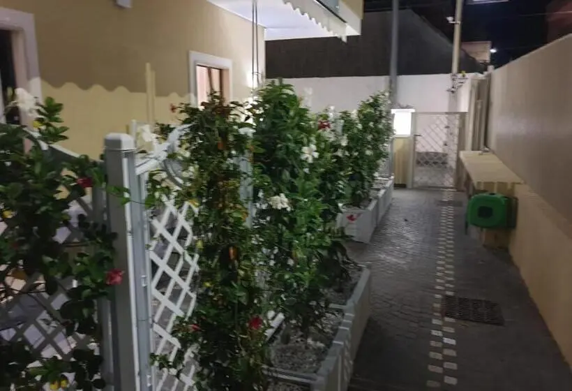 استودیو استاندارد با تراس, Residenza Carlucci