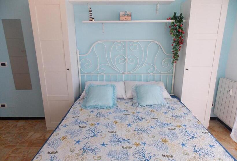 デラックスルーム, Australe