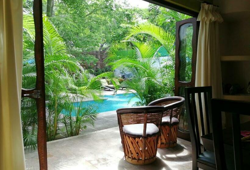 דירת חדר בקומת קרקע, Ceiba Studios