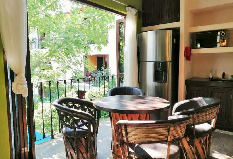 דירת חדר עם טרסה, Ceiba Studios