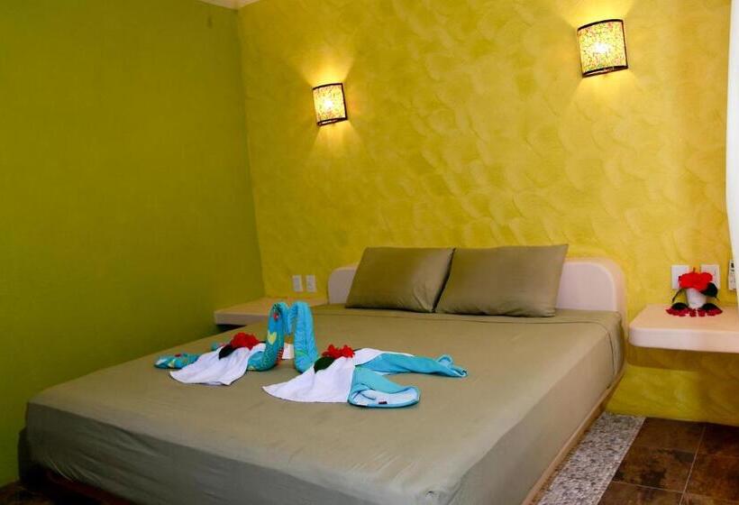 דירת חדר בקומת קרקע, Ceiba Studios