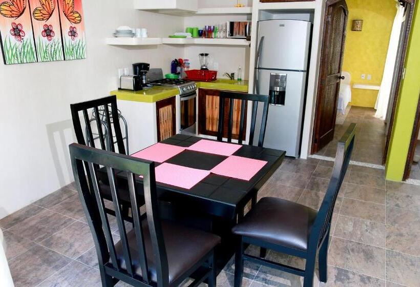 דירת חדר בקומת קרקע, Ceiba Studios