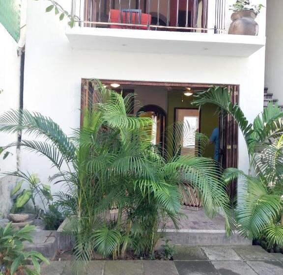 דירת חדר בקומת קרקע, Ceiba Studios