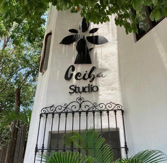 דירה בת חדר שינה 1 עם מרפסת, Ceiba Studios