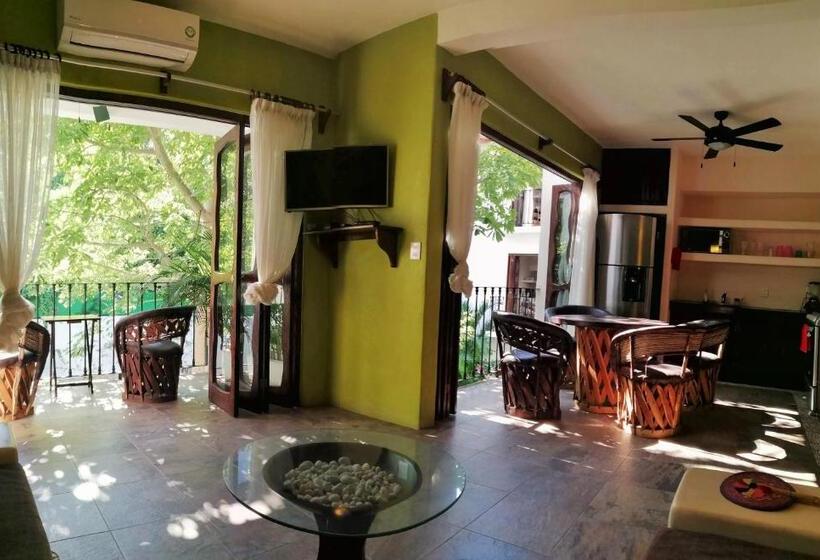 דירת חדר עם טרסה, Ceiba Studios