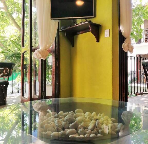 דירת חדר עם טרסה, Ceiba Studios