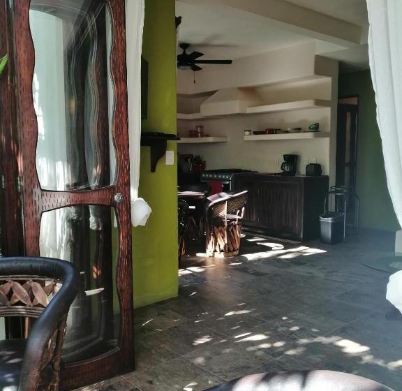 דירת חדר עם טרסה, Ceiba Studios