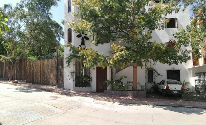 低层单卧公寓, Ceiba Studios