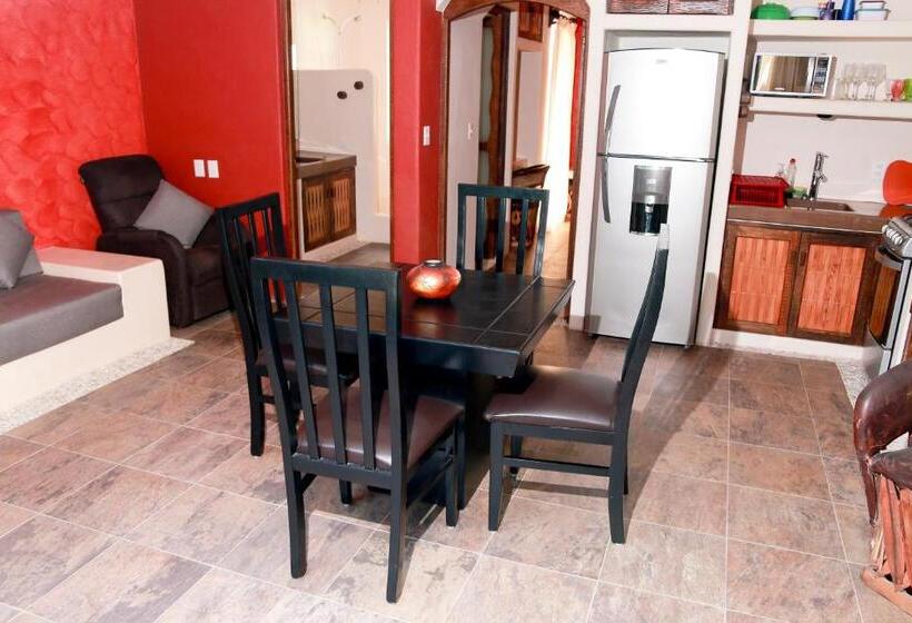 דירת חדר בקומת קרקע, Ceiba Studios