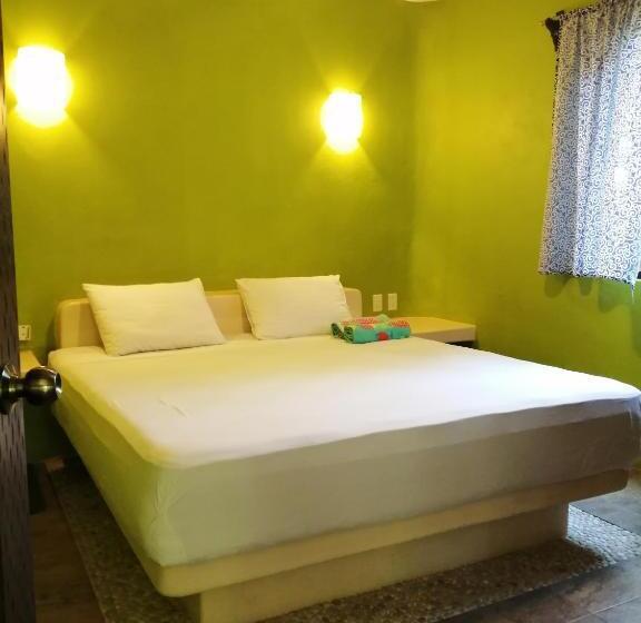 דירת חדר עם טרסה, Ceiba Studios