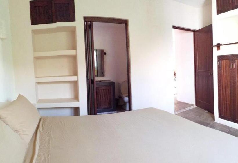 דירת חדר עם טרסה, Ceiba Studios