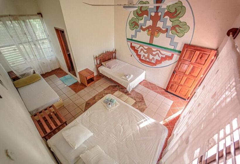 חדר סטנדרט לארבעה, Cayuco Maya