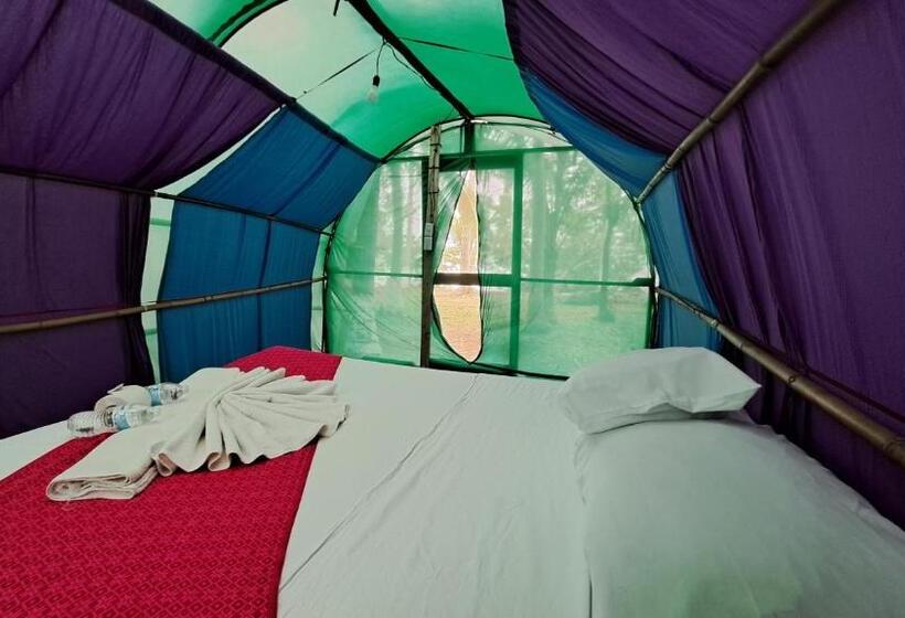 חדר סטנדרט, Cayuco Maya