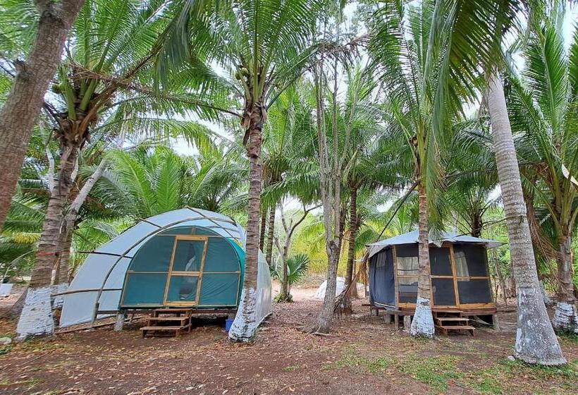 חדר סטנדרט, Cayuco Maya