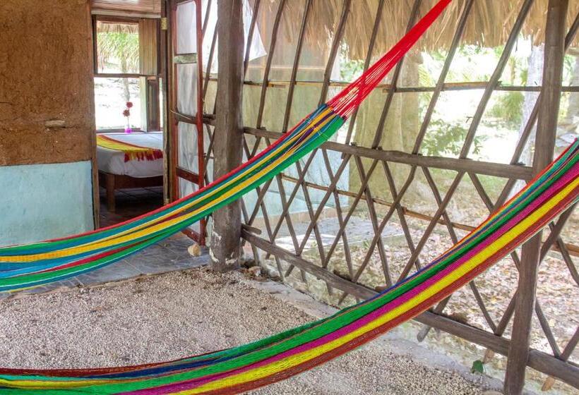 公園の見えるスタンダードルーム, Cayuco Maya
